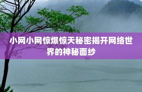 小网小网惊爆惊天秘密揭开网络世界的神秘面纱