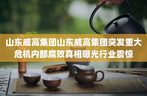 山东威高集团山东威高集团突发重大危机内部腐败真相曝光行业震惊
