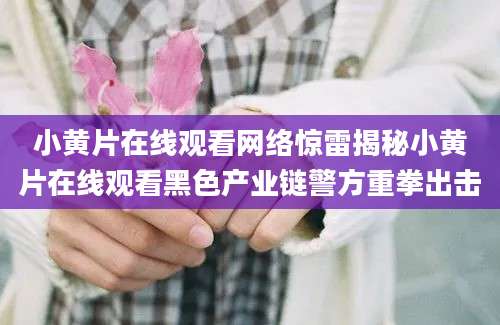 小黄片在线观看网络惊雷揭秘小黄片在线观看黑色产业链警方重拳出击