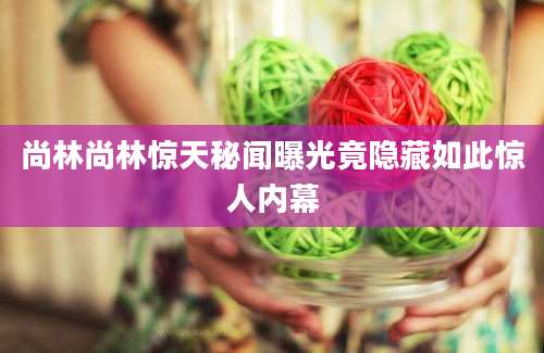 尚林尚林惊天秘闻曝光竟隐藏如此惊人内幕