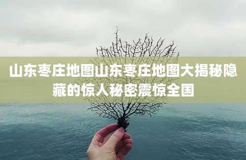 山东枣庄地图山东枣庄地图大揭秘隐藏的惊人秘密震惊全国