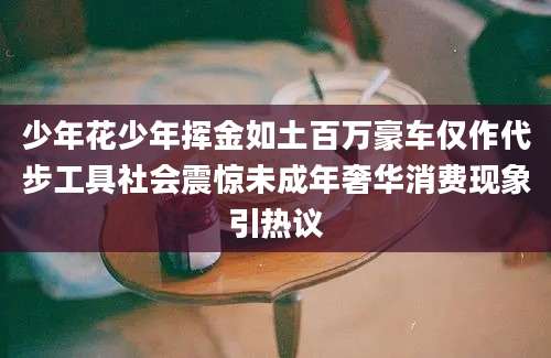少年花少年挥金如土百万豪车仅作代步工具社会震惊未成年奢华消费现象引热议