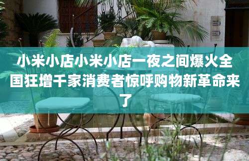小米小店小米小店一夜之间爆火全国狂增千家消费者惊呼购物新革命来了