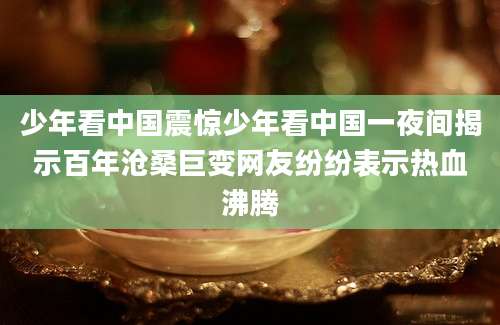 少年看中国震惊少年看中国一夜间揭示百年沧桑巨变网友纷纷表示热血沸腾