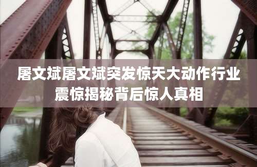 屠文斌屠文斌突发惊天大动作行业震惊揭秘背后惊人真相