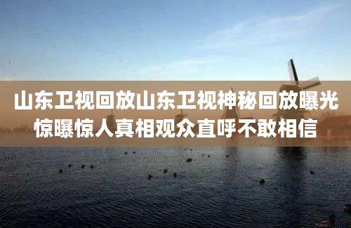 山东卫视回放山东卫视神秘回放曝光惊曝惊人真相观众直呼不敢相信