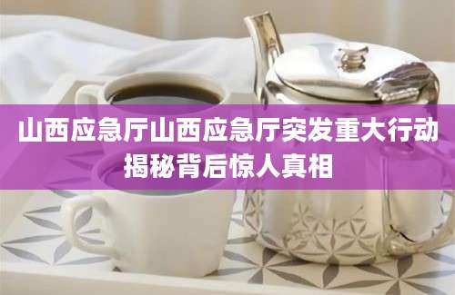 山西应急厅山西应急厅突发重大行动揭秘背后惊人真相