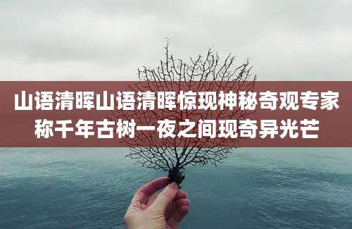 山语清晖山语清晖惊现神秘奇观专家称千年古树一夜之间现奇异光芒