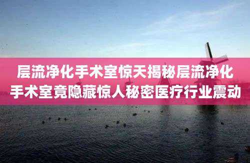 层流净化手术室惊天揭秘层流净化手术室竟隐藏惊人秘密医疗行业震动