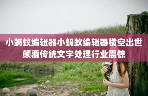 小蚂蚁编辑器小蚂蚁编辑器横空出世颠覆传统文字处理行业震惊