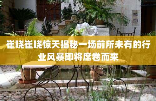 崔晓崔晓惊天揭秘一场前所未有的行业风暴即将席卷而来