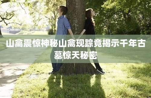 山禽震惊神秘山禽现踪竟揭示千年古墓惊天秘密