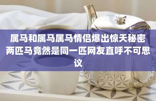 属马和属马属马情侣爆出惊天秘密两匹马竟然是同一匹网友直呼不可思议