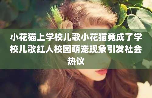 小花猫上学校儿歌小花猫竟成了学校儿歌红人校园萌宠现象引发社会热议