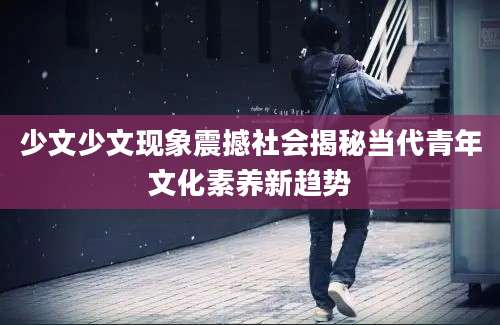 少文少文现象震撼社会揭秘当代青年文化素养新趋势