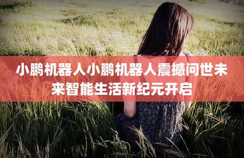 小鹏机器人小鹏机器人震撼问世未来智能生活新纪元开启
