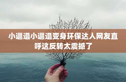 小邋遢小邋遢变身环保达人网友直呼这反转太震撼了