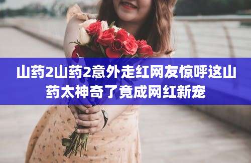 山药2山药2意外走红网友惊呼这山药太神奇了竟成网红新宠