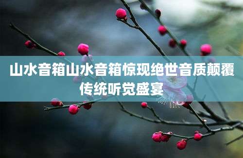 山水音箱山水音箱惊现绝世音质颠覆传统听觉盛宴