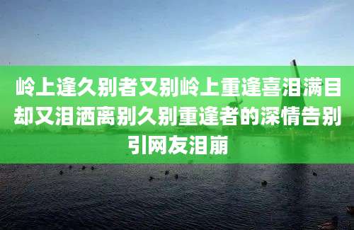 岭上逢久别者又别岭上重逢喜泪满目却又泪洒离别久别重逢者的深情告别引网友泪崩