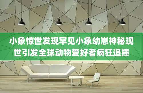 小象惊世发现罕见小象幼崽神秘现世引发全球动物爱好者疯狂追捧