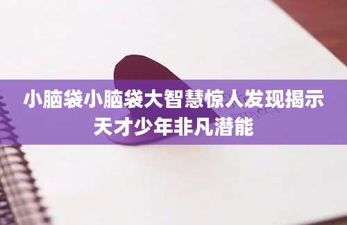 小脑袋小脑袋大智慧惊人发现揭示天才少年非凡潜能