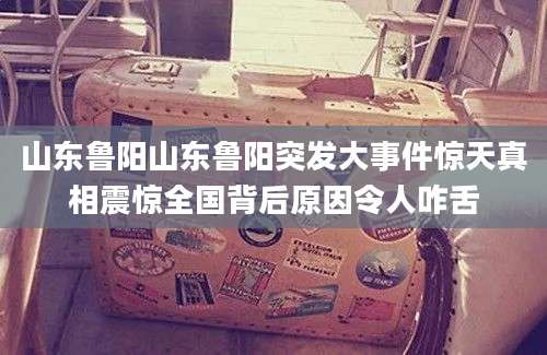 山东鲁阳山东鲁阳突发大事件惊天真相震惊全国背后原因令人咋舌