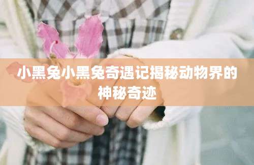 小黑兔小黑兔奇遇记揭秘动物界的神秘奇迹