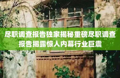 尽职调查报告独家揭秘重磅尽职调查报告揭露惊人内幕行业巨震
