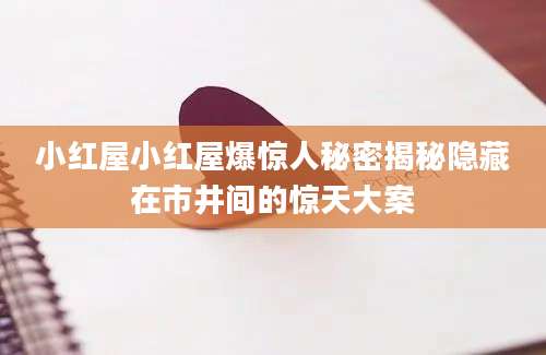 小红屋小红屋爆惊人秘密揭秘隐藏在市井间的惊天大案