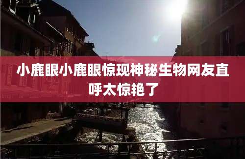 小鹿眼小鹿眼惊现神秘生物网友直呼太惊艳了