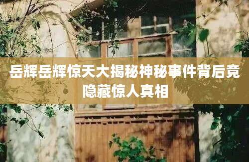 岳辉岳辉惊天大揭秘神秘事件背后竟隐藏惊人真相