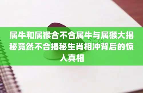 属牛和属猴合不合属牛与属猴大揭秘竟然不合揭秘生肖相冲背后的惊人真相