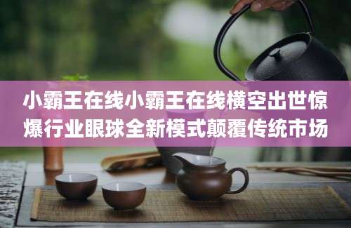 小霸王在线小霸王在线横空出世惊爆行业眼球全新模式颠覆传统市场