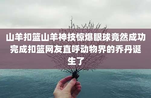 山羊扣篮山羊神技惊爆眼球竟然成功完成扣篮网友直呼动物界的乔丹诞生了