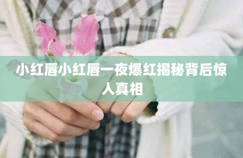 小红唇小红唇一夜爆红揭秘背后惊人真相