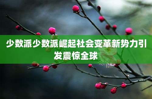 少数派少数派崛起社会变革新势力引发震惊全球