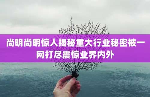 尚明尚明惊人揭秘重大行业秘密被一网打尽震惊业界内外