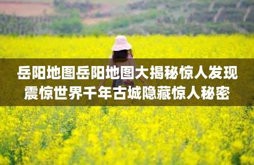 岳阳地图岳阳地图大揭秘惊人发现震惊世界千年古城隐藏惊人秘密