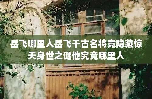 岳飞哪里人岳飞千古名将竟隐藏惊天身世之谜他究竟哪里人