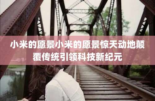 小米的愿景小米的愿景惊天动地颠覆传统引领科技新纪元