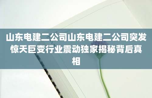 山东电建二公司山东电建二公司突发惊天巨变行业震动独家揭秘背后真相