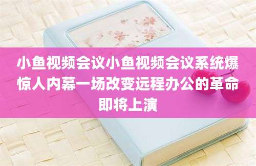 小鱼视频会议小鱼视频会议系统爆惊人内幕一场改变远程办公的革命即将上演
