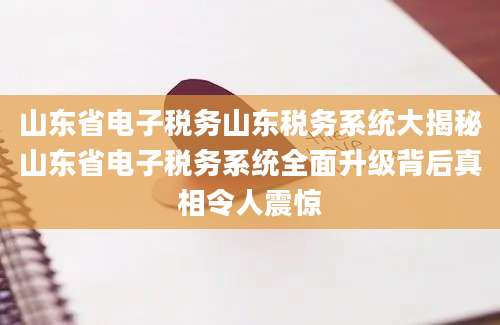 山东省电子税务山东税务系统大揭秘山东省电子税务系统全面升级背后真相令人震惊