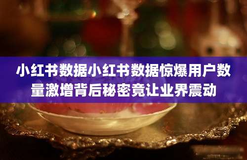 小红书数据小红书数据惊爆用户数量激增背后秘密竟让业界震动