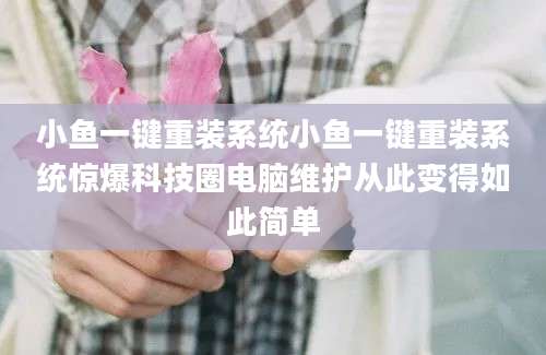小鱼一键重装系统小鱼一键重装系统惊爆科技圈电脑维护从此变得如此简单