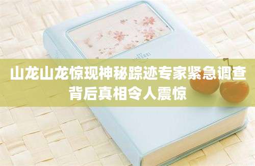 山龙山龙惊现神秘踪迹专家紧急调查背后真相令人震惊