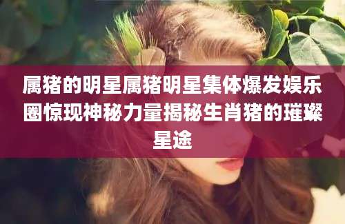 属猪的明星属猪明星集体爆发娱乐圈惊现神秘力量揭秘生肖猪的璀璨星途