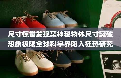 尺寸惊世发现某神秘物体尺寸突破想象极限全球科学界陷入狂热研究