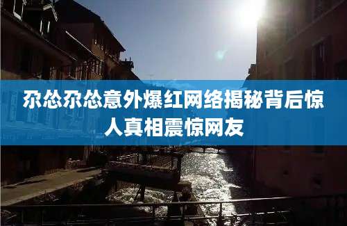 尕怂尕怂意外爆红网络揭秘背后惊人真相震惊网友